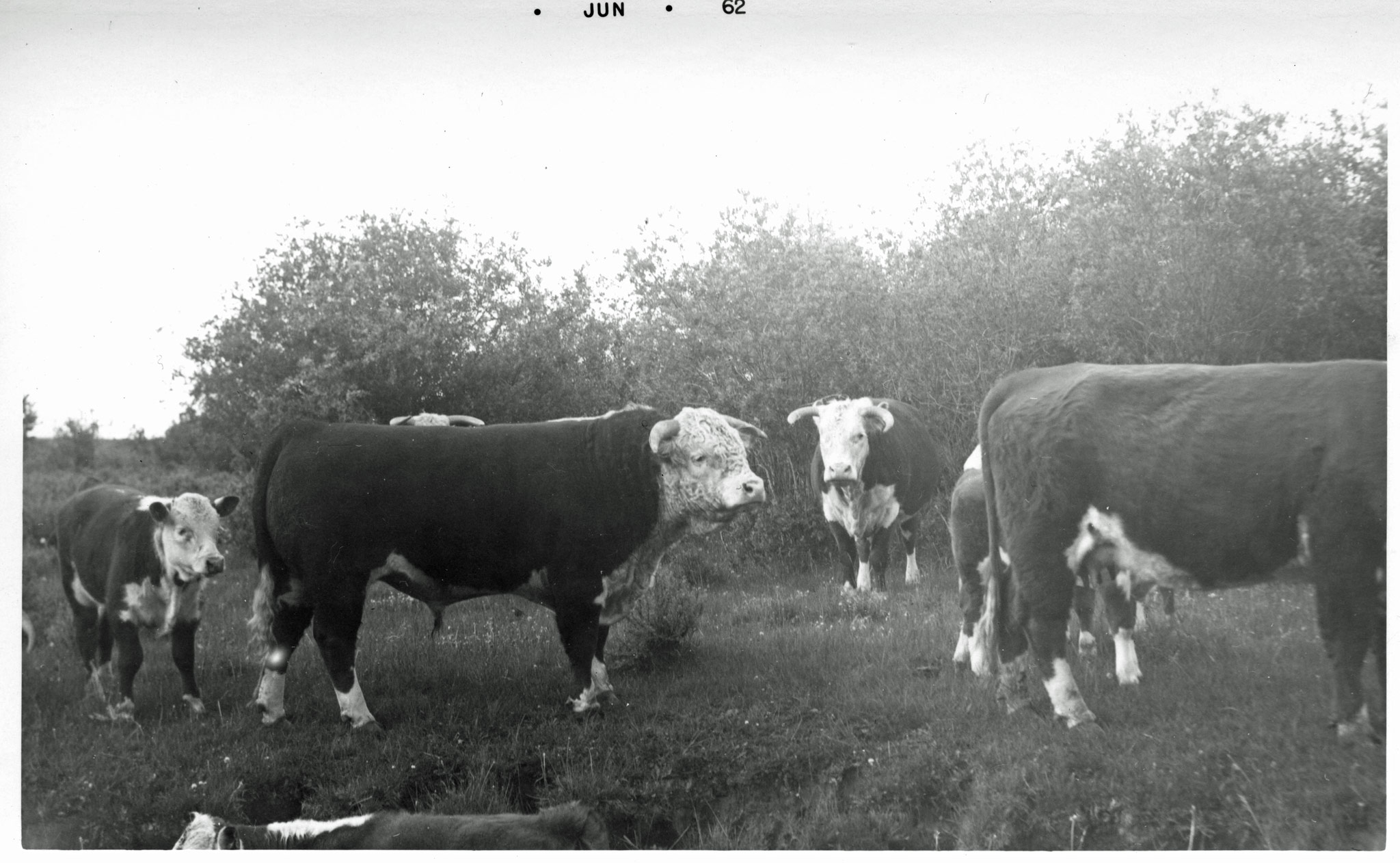1962a