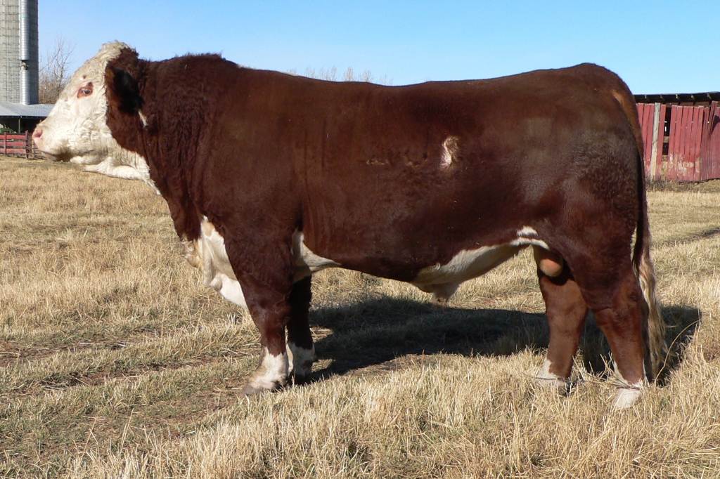 28T 2009b