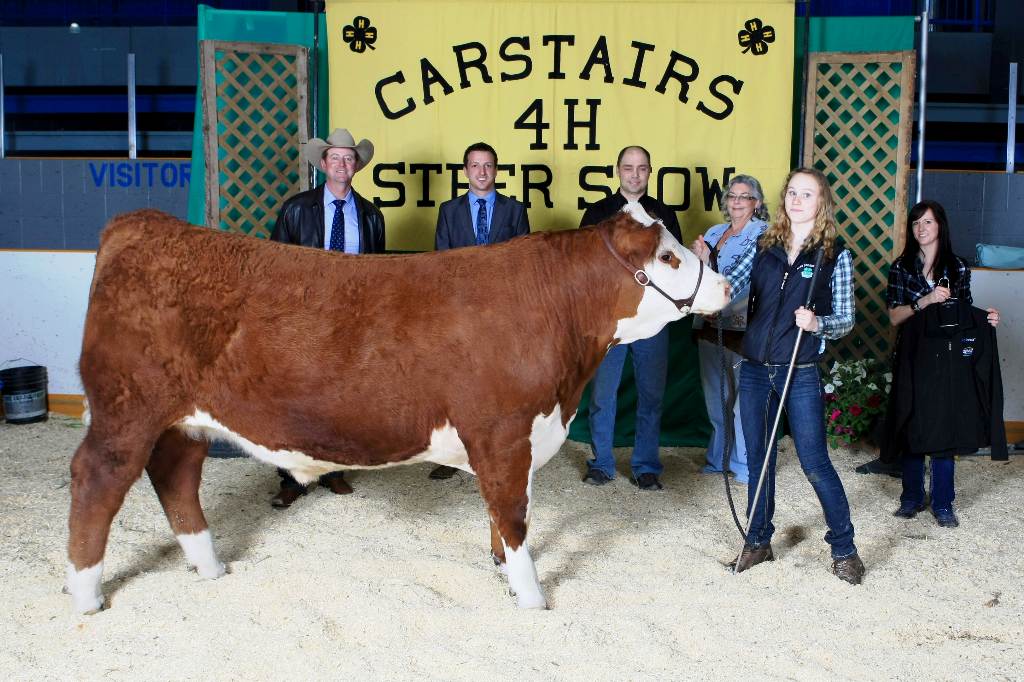 Alexa res ch steer 2014
