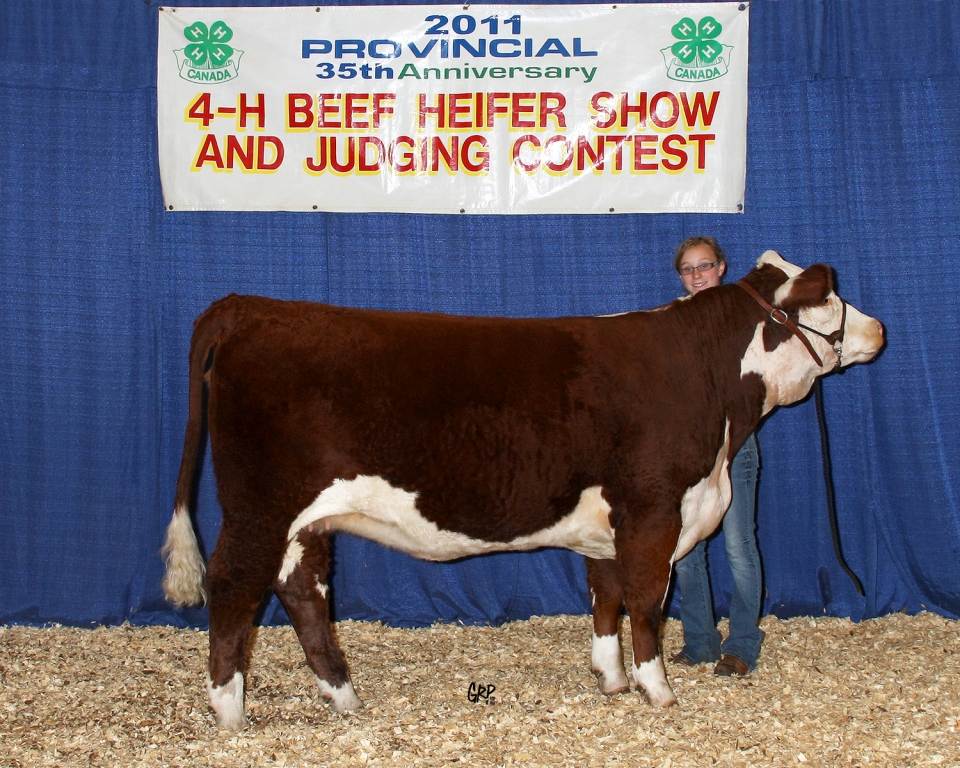 CHSF 52U LADY HOPE 6X