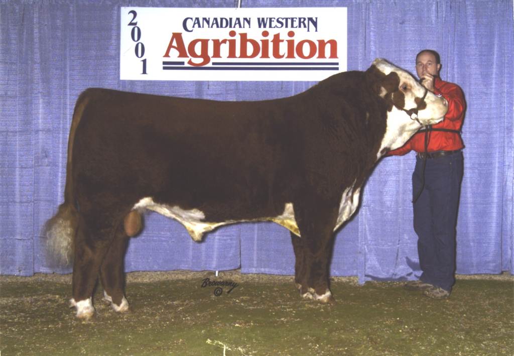 GHC Premier 2K 2001